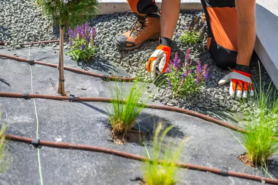 Top-rated Landscape Installation Brookfield, CT